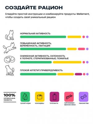 Wellement 0,08кг Ягненок жидкий топпинг для кошек фото