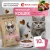 Best Dinner Cat Adult Holistic Sterilized 10кг говядина с розмарином сухой для стерилизованных кошек (405480) фото Best Dinner Cat Adult Holistic Sterilized 10кг говядина с розмарином сухой для стерилизованных кошек (405480) фото