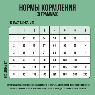 Bowl Wow 5кг индейка с рисом и шпинатом сухой для щенков мелких пород (660316) фото