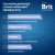 Brit Premium 0,085кг телятина с зеленым горошком в соусе, пауч для взрослых собак мини пород (53827) фото