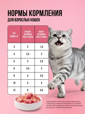 Bowl Wow 0,085кг индейка и овощи в кусочки в желе для стерилизованных кошек (665069) фото