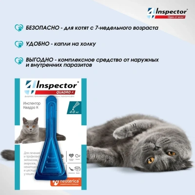 Inspector Quadro К (3пип) капли от блох, клещей и глистов для кошек от 4 до 8кг (ЛИЦЕНЗИЯ) фото Inspector Quadro К (3пип) капли от блох, клещей и глистов для кошек от 4 до 8кг (ЛИЦЕНЗИЯ) фото