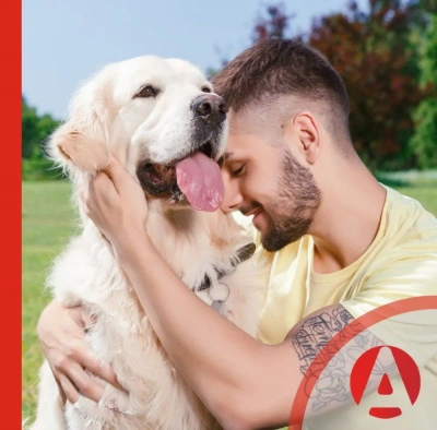 Гепатоджект инъекционный раствор, 100мл (ЛИЦЕНЗИЯ) фото Гепатоджект инъекционный раствор, 100мл (ЛИЦЕНЗИЯ) фото