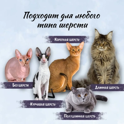 Спрей (ТерриториЯ) Волны и ветер для лёгкого расчёсывания, 250 мл фото Спрей (ТерриториЯ) Волны и ветер для лёгкого расчёсывания, 250 мл фото