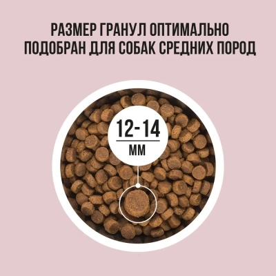 Bowl Wow 10кг индейка с рисом и яблоком сухой для собак средних пород (660491) фото