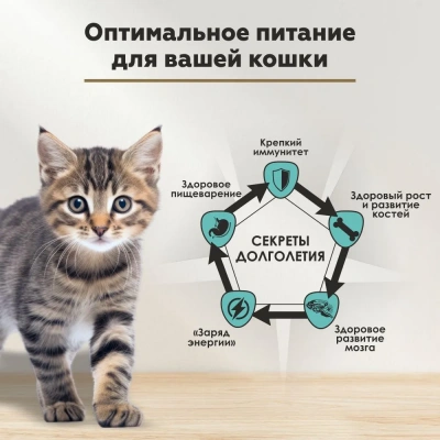 Секрет (Secret) Life Force 0,085кг ягненок в соусе пауч для котят (22785) фото