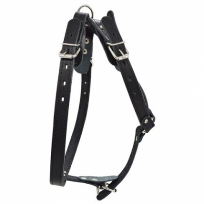 Шлейка (Зооэкспресс) 0840Ч 1сл 18 мм до 75 см черная