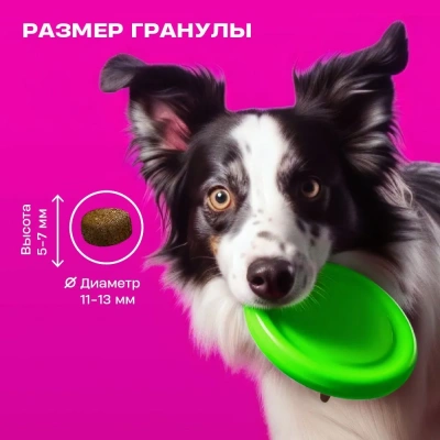 Wellement 10кг ягненок сухой для собак с чувствительным пищеварением (003782) фото Wellement 10кг ягненок сухой для собак с чувствительным пищеварением (003782) фото