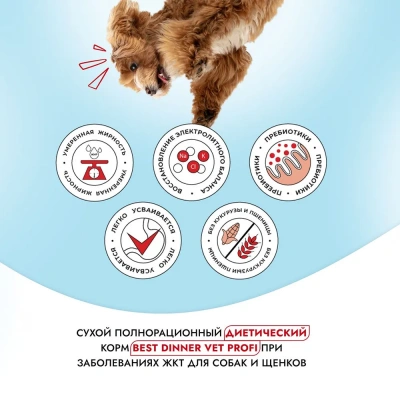 Best Dinner Vet Profi Gastro Intestinal 2кг сухой для собак (406258) фото