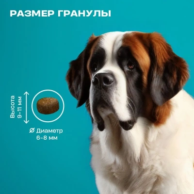 Wellement 10кг индейка сухой для щенков средних и крупных пород (003799) фото Wellement 10кг индейка сухой для щенков средних и крупных пород (003799) фото