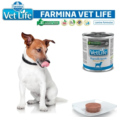 Farmina (Фармина) Vet Life Dog Hypoallergenic 0,3кг консервы гипоаллергенный с рыбой и картофелем (102819) фото