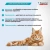 Inspector Quadro К (3пип) капли от блох, клещей и глистов для кошек от 4 до 8кг (ЛИЦЕНЗИЯ) фото Inspector Quadro К (3пип) капли от блох, клещей и глистов для кошек от 4 до 8кг (ЛИЦЕНЗИЯ) фото