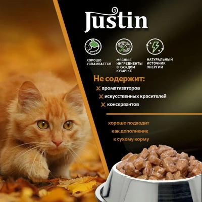 Justin 0,075кг курица с печенью в соусе для кошек пауч фото