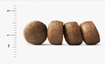 Alleva Equilibrium Sensitive 12кг с ягненком сухой корм для щенков всех пород (003025) фото