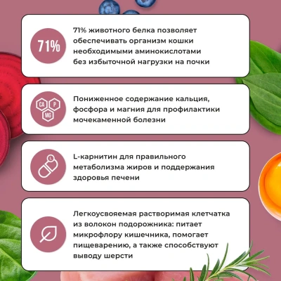 Bowl Wow 4кг с индейкой и свеклой сухой для стерилизованных кошек (660149) фото