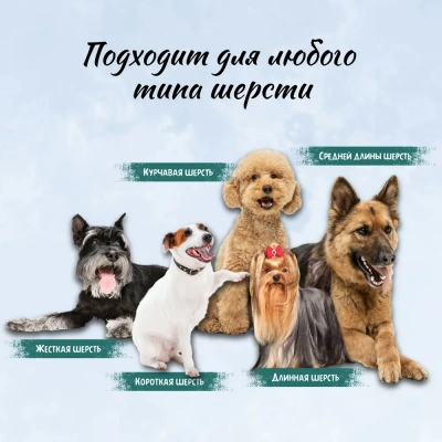 Кондиционер (ТерриториЯ) Рассвет над Домбаем восстанавливающий для собак, 500 мл фото Кондиционер (ТерриториЯ) Рассвет над Домбаем восстанавливающий для собак, 500 мл фото