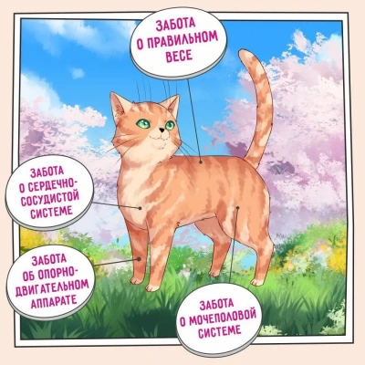 ZILLII (Зилли) Cat Sterilized Light 10кг белая рыба и лосось сухой для кошек с избыточным весом (350822) фото ZILLII (Зилли) Cat Sterilized Light 10кг белая рыба и лосось сухой для кошек с избыточным весом (350822) фото