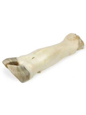 TiTBiT 1,1кг лакомство нога говяжья большая (мягкая упаковка) фото