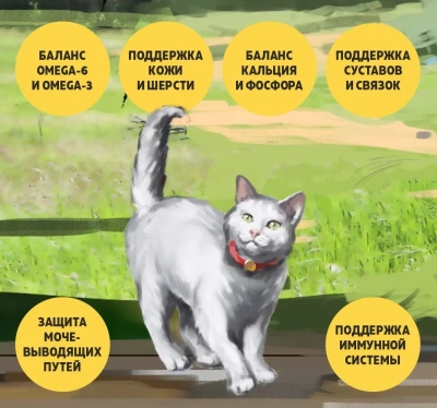 Brooksfield Adult Cat Beef 6кг говядина и рис сухой для кошек  фото