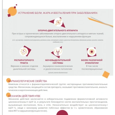 Вемелкам Солютаб 0,5 мг 10 таб (НИТА) (ЛИЦЕНЗИЯ) фото Вемелкам Солютаб 0,5 мг 10 таб (НИТА) (ЛИЦЕНЗИЯ) фото