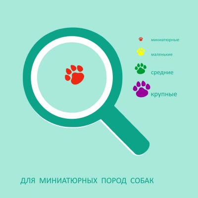 Biff 0,02кг Dent жевательный снек со вкусом ягненка для собак мини пород (16 шт) фото