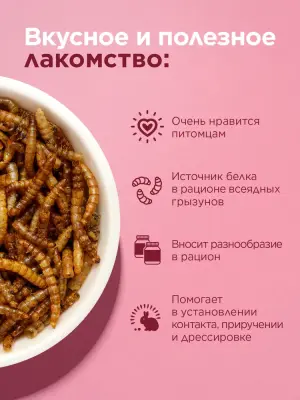 Little One 0,07кг Лакомство мучной червь для всеядных грызунов фото