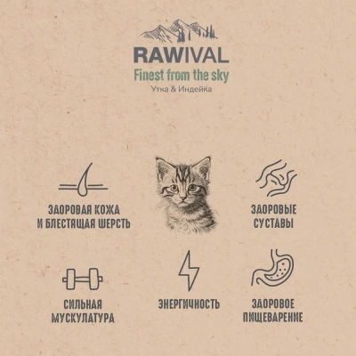 RAWIVAL Finest from the Sky утка и индейка для котят, 5 кг фото RAWIVAL Finest from the Sky утка и индейка для котят, 5 кг фото