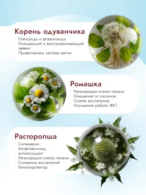 Best Dinner Vet Profi Hepatic 2кг сухой для собак (406999) фото