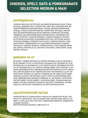 Farmina (Фармина) N&D Dog 15кг низкозерновой курица и гранат сухой для собак средних и крупных пород (4128) фото Farmina (Фармина) N&D Dog 15кг низкозерновой курица и гранат сухой для собак средних и крупных пород (4128) фото