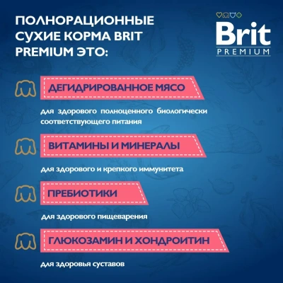Brit Premium Dog 15кг Junior Large курица сухой корм для молодых 1–30мес крупных собак (25–90кг) (50284) фото