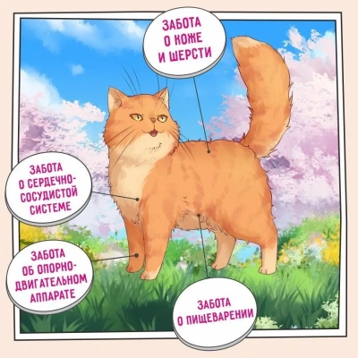 ZILLII (Зилли) Cat Adult Indoor 10кг индейка и ягненок сухой для домашних кошек (350662) фото ZILLII (Зилли) Cat Adult Indoor 10кг индейка и ягненок сухой для домашних кошек (350662) фото