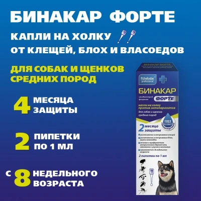 Бинакар Форте (Пчелодар) Капли на холку против эктопаразитов для собак и щенков средних пород, 2пип по 1мл Бинакар Форте (Пчелодар) Капли на холку против эктопаразитов для собак и щенков средних пород, 2пип по 1мл фото