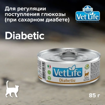 Farmina Vet Life Cat Diabetic 0,085кг паштет для кошек при диабете 1313 (106459)  Farmina Vet Life Cat Diabetic 0,085кг паштет для кошек при диабете 1313 (106459) фото