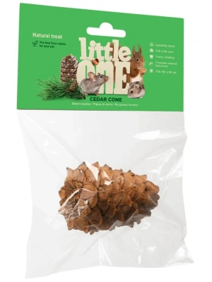 Little One 0,05кг лакомство-игрушка Кедровая шишка для грызунов (1шт) Little One 0,05кг лакомство-игрушка Кедровая шишка для грызунов (1шт) фото