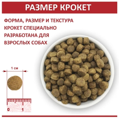Родные корма 2,045кг (5 фунтов) с говядиной сухой корм для собак мелких пород (538274) фото Родные корма 2,045кг (5 фунтов) с говядиной сухой корм для собак мелких пород (538274) фото