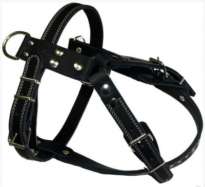 Шлейка (Аркон) ездовая черная (питбуль-терьер, стаф.терьер, боксер) 