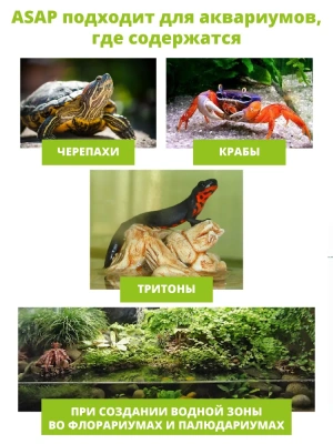 Фильтр (AQUAEL) ASAP внутренний, 250л фото