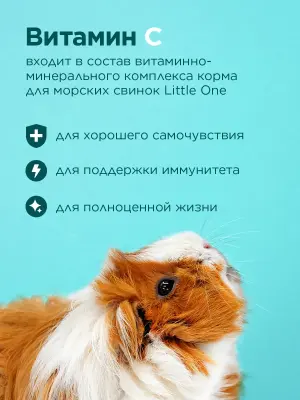 Little One 0,9кг Корм для морских свинок фото