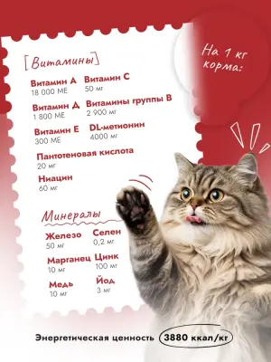 Best Dinner Cat Adult Holistic 0,4кг телятина с орегано сухой для кошек (402809) фото