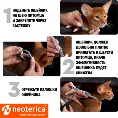 Ошейник (Rolf Club) 3D (8мес), 40см от блох, клещей, комаров для котят (серый) (ЛИЦЕНЗИЯ) фото Ошейник (Rolf Club) 3D (8мес), 40см от блох, клещей, комаров для котят (серый) (ЛИЦЕНЗИЯ) фото