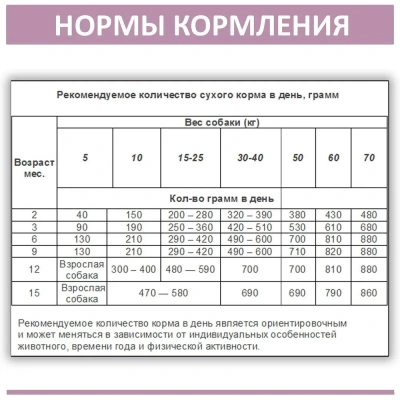 Родные корма 2,045кг (5 фунтов) индейка сухой корм для собак мелких пород (537871) фото Родные корма 2,045кг (5 фунтов) индейка сухой корм для собак мелких пород (537871) фото