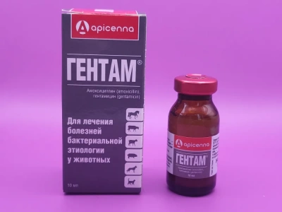 Гентам суспензия 10мл (50шт/уп) (ЛИЦЕНЗИЯ) фото Гентам суспензия 10мл (50шт/уп) (ЛИЦЕНЗИЯ) фото