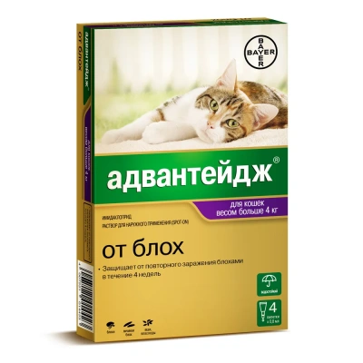 Адвантейдж 80 капли (4пип х 0,8мл) против паразитов для кошек более 4кг (ЛИЦЕНЗИЯ) Адвантейдж 80 капли (4пип х 0,8мл) против паразитов для кошек более 4кг (ЛИЦЕНЗИЯ)