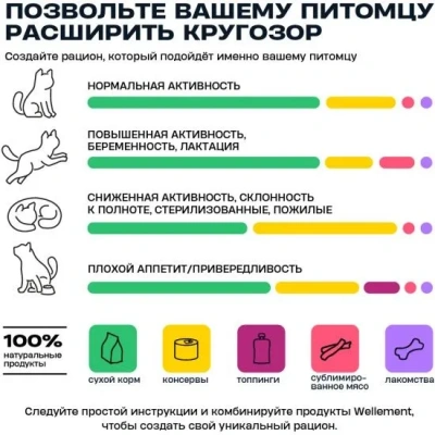 Wellement 0,35кг корм для взрослых кошек с индейкой фото