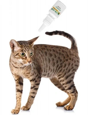 ИН-Ап комплекс капли 1мл от блох и глистов для кошек (ЛИЦЕНЗИЯ) фото