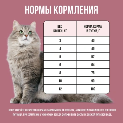 Bowl Wow 8кг с индейкой и свеклой сухой для стерилизованных кошек (660156) фото Bowl Wow 8кг с индейкой и свеклой сухой для стерилизованных кошек (660156) фото