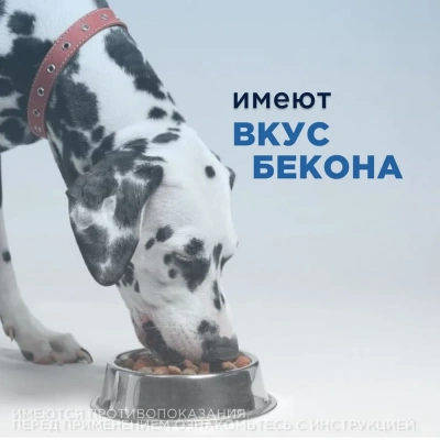 Авекардит 1,25мг для мелких собак, 28 табл. (ЛИЦЕНЗИЯ) фото Авекардит 1,25мг для мелких собак, 28 табл. (ЛИЦЕНЗИЯ) фото