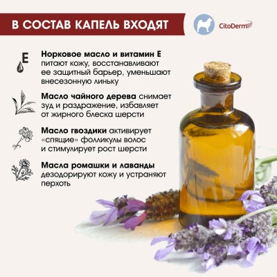 Капли (CitoDerm) (4пип х 6мл) дерматологические, улучшение кожи и шерсти для собак 30-60кг  фото Капли (CitoDerm) (4пип х 6мл) дерматологические, улучшение кожи и шерсти для собак 30-60кг  фото