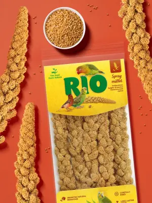Rio 0,1кг Сенегальское просо в колосьях лакомство для всех видов птиц фото