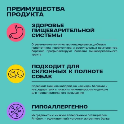 Wellement 10кг ягненок сухой для собак с чувствительным пищеварением (003782) фото Wellement 10кг ягненок сухой для собак с чувствительным пищеварением (003782) фото